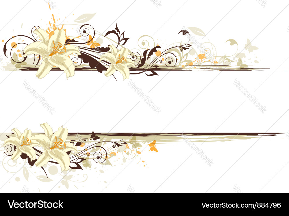 Floral banner lily Royalty Free Vector Image VectorStock