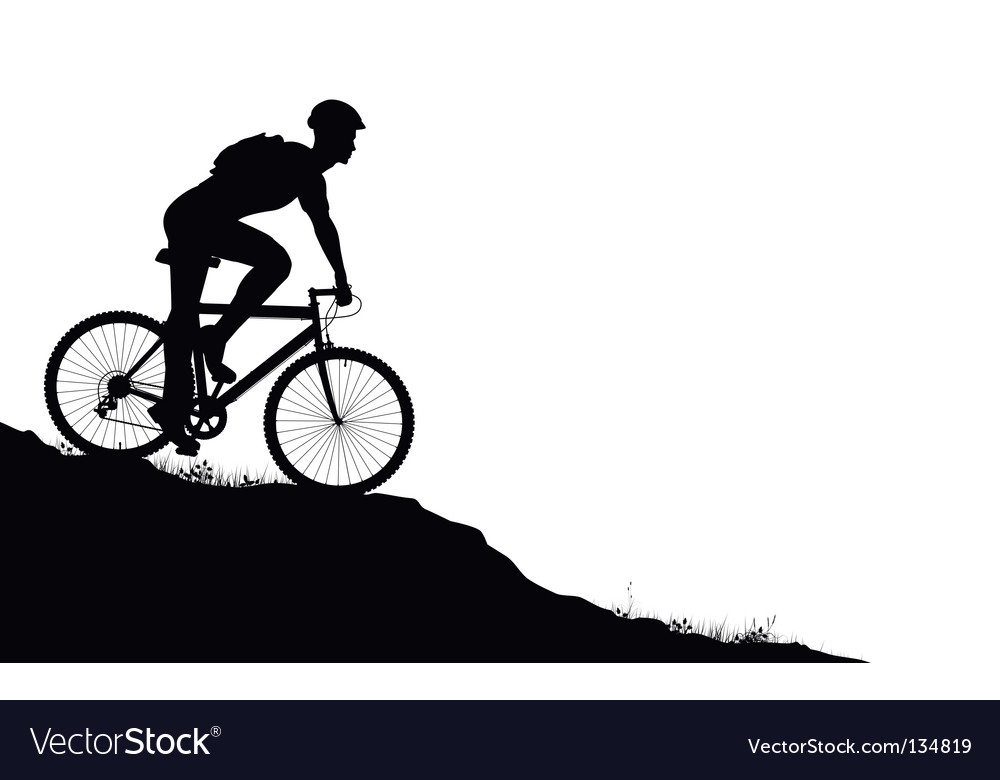 mountain biker vector image