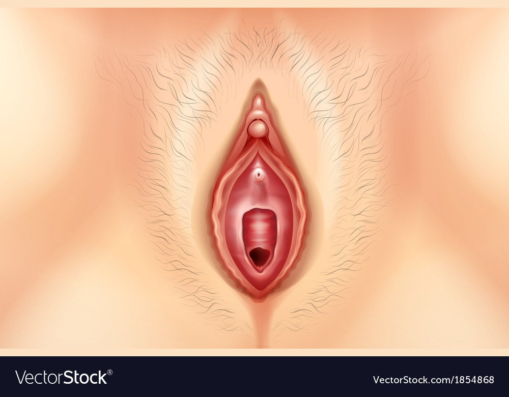indian mallu student fucking sexy teacher pics from Van virgin pussy pics free download