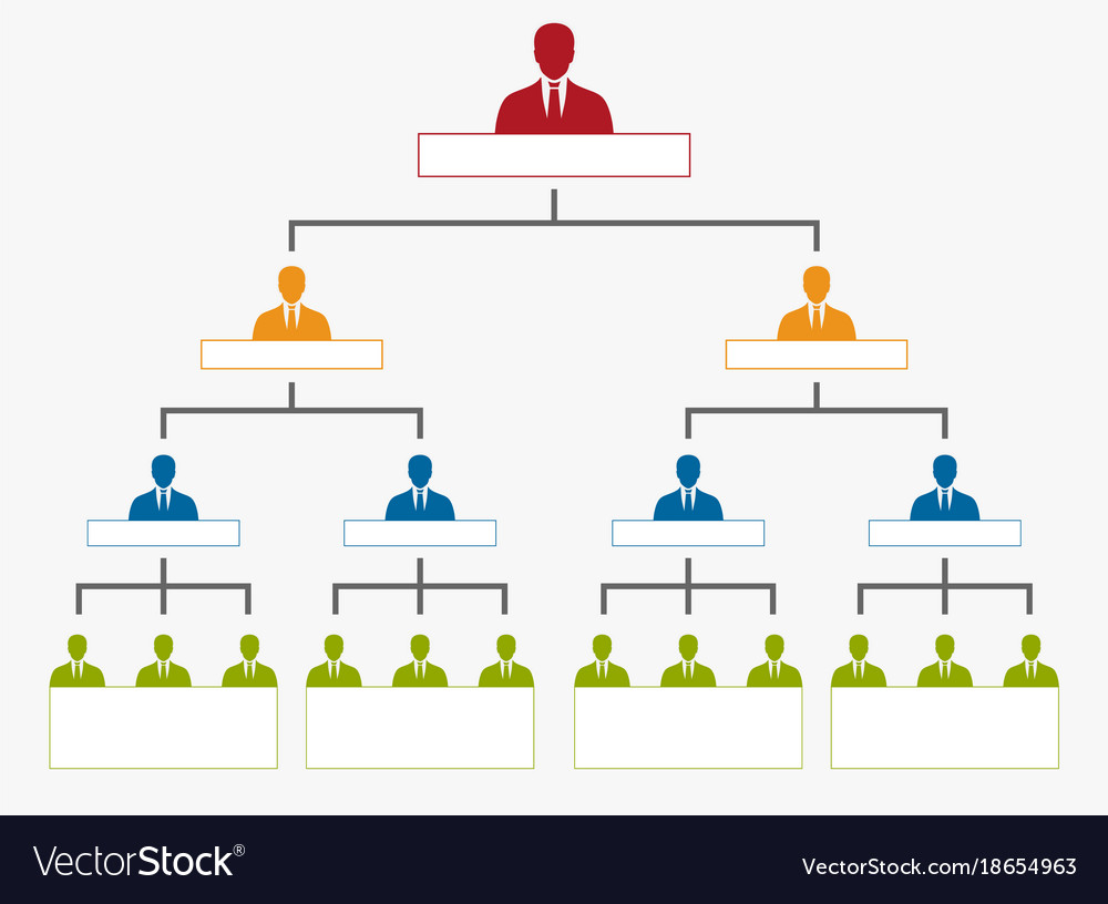 organization hierarchy