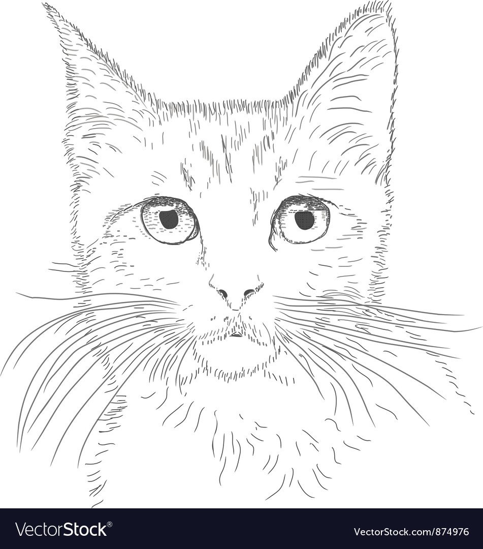 Line drawing cat Royalty Free Vector Image - VectorStock