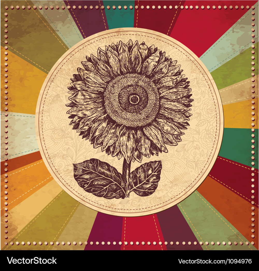 Sunflower vintage background Royalty Free Vector Image