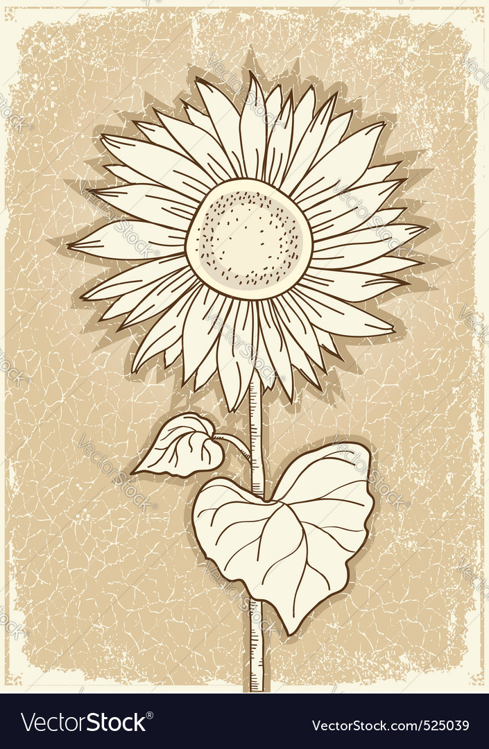 Free Free Vintage Sunflower Svg 229 SVG PNG EPS DXF File
