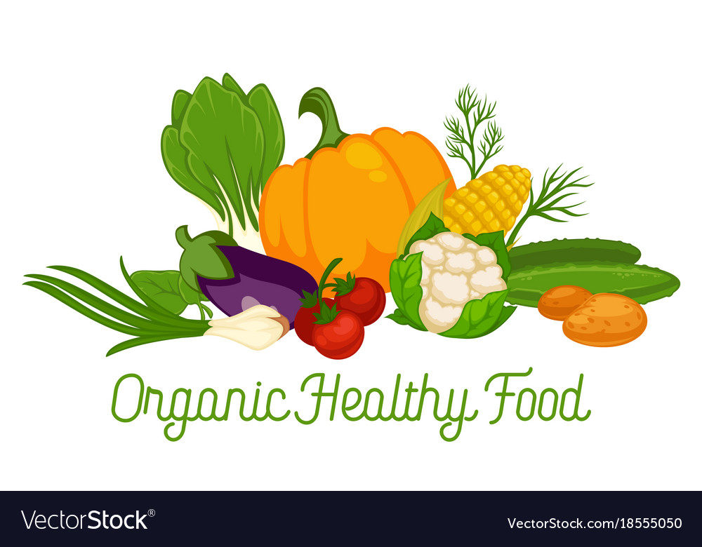 vegetarianism and different types vegetarianism and different types
