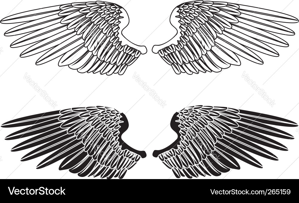 Spread wings Royalty Free Vector Image - VectorStock
