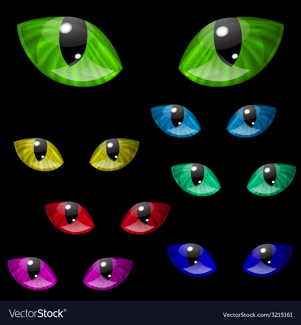 Cat eyes Royalty Free Vector Image - VectorStock (1000 x 1080 Pixel)