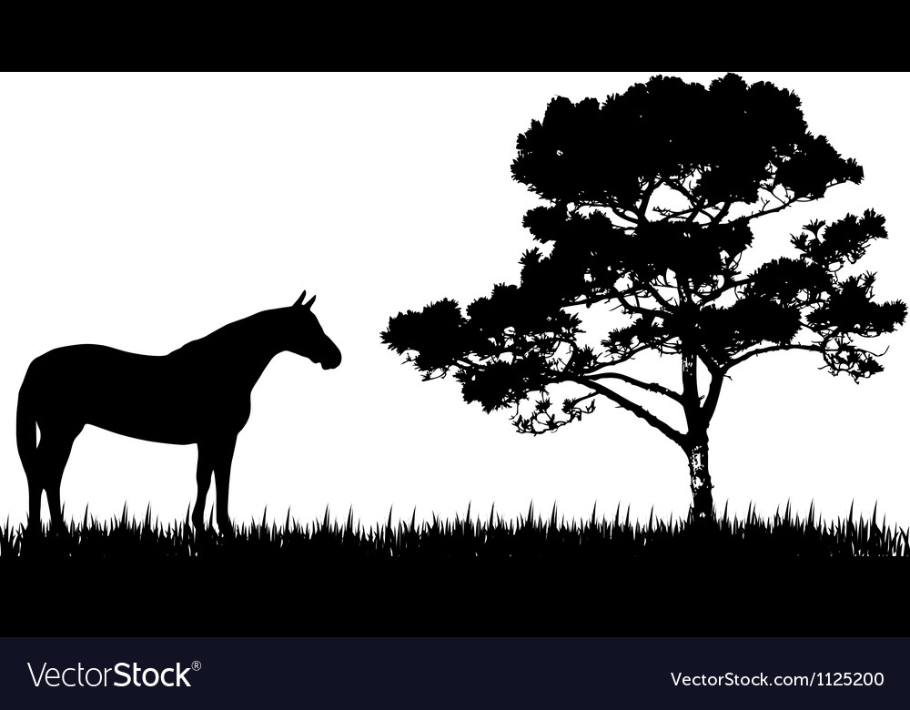 Free Free Horse Life Svg 403 SVG PNG EPS DXF File