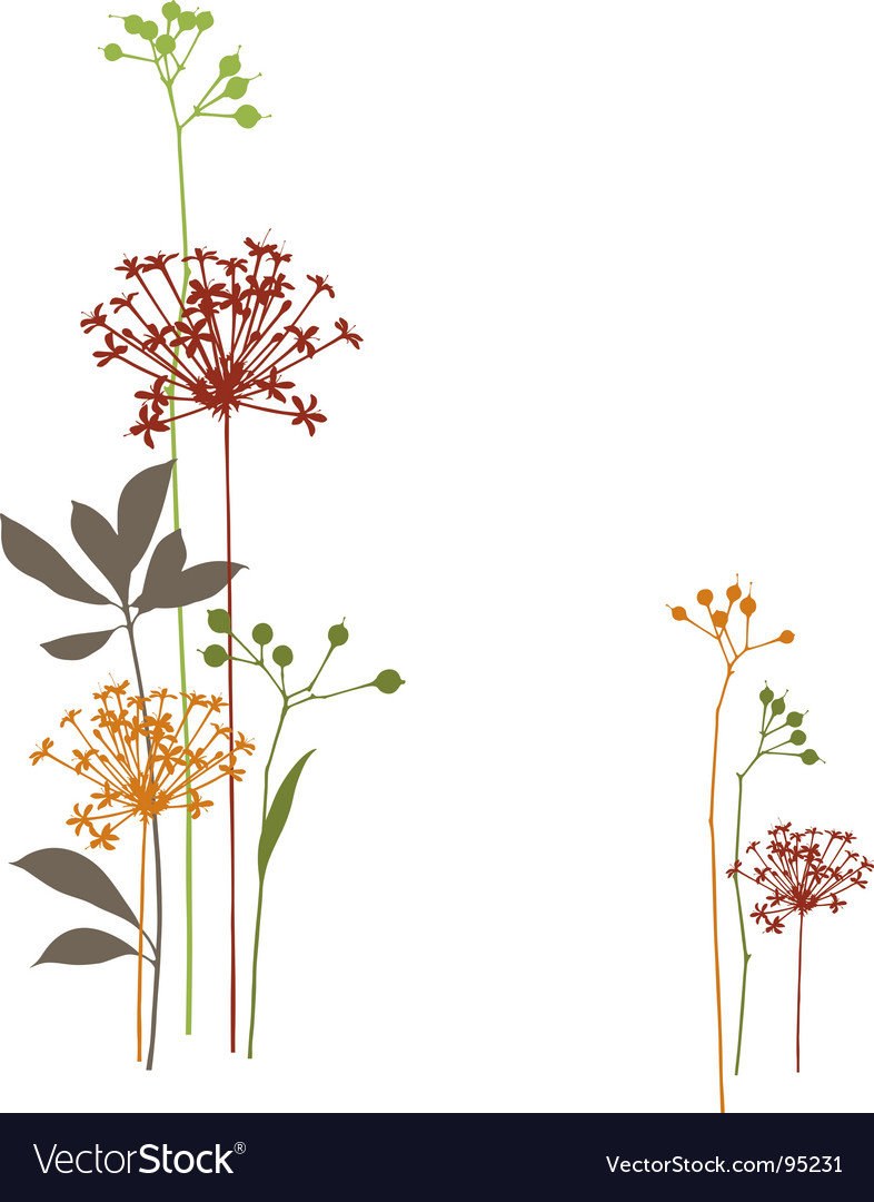 Download Wild flowers Royalty Free Vector Image - VectorStock