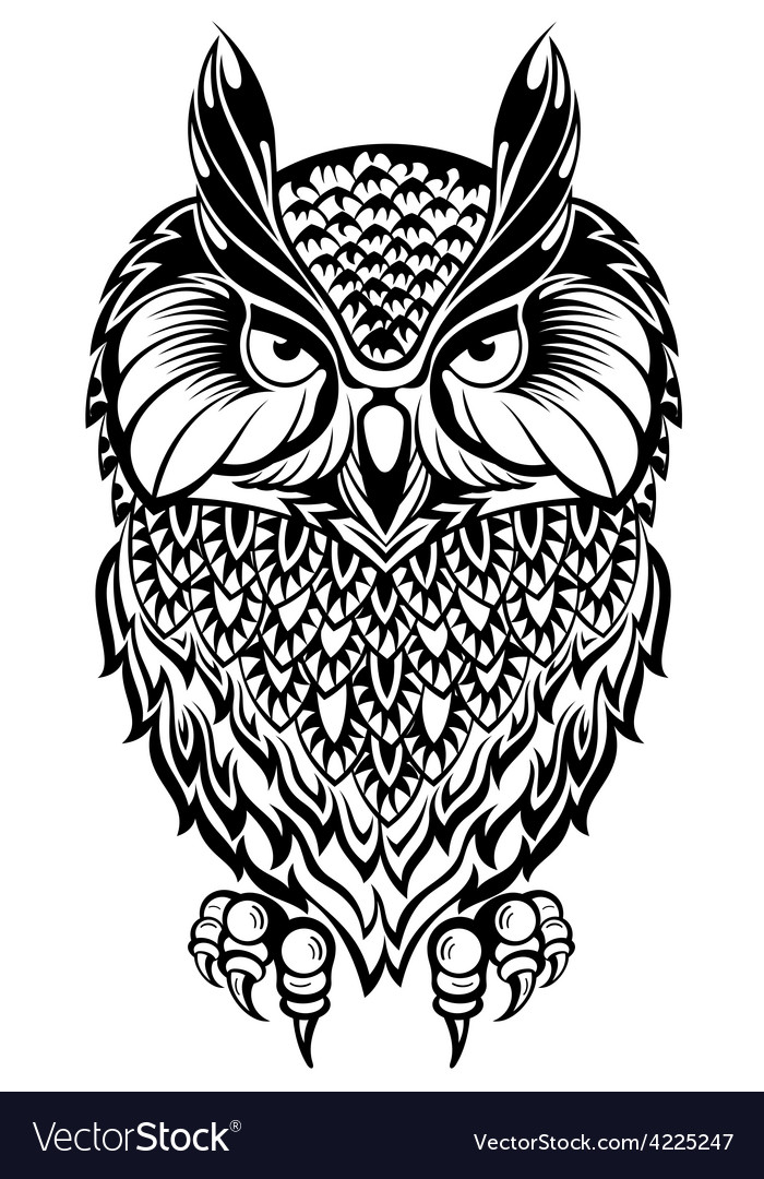owl royalty free vector image vectorstock owl royalty free vector image vectorstock
