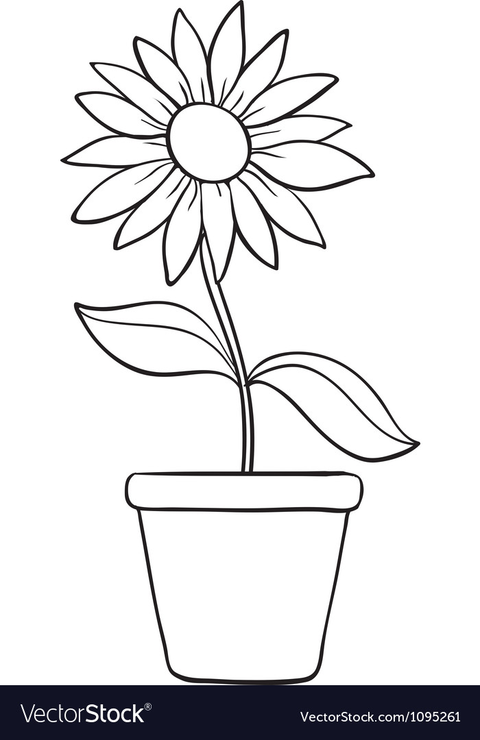 A flower and a pot sketch Royalty Free Vector Image - VectorStock