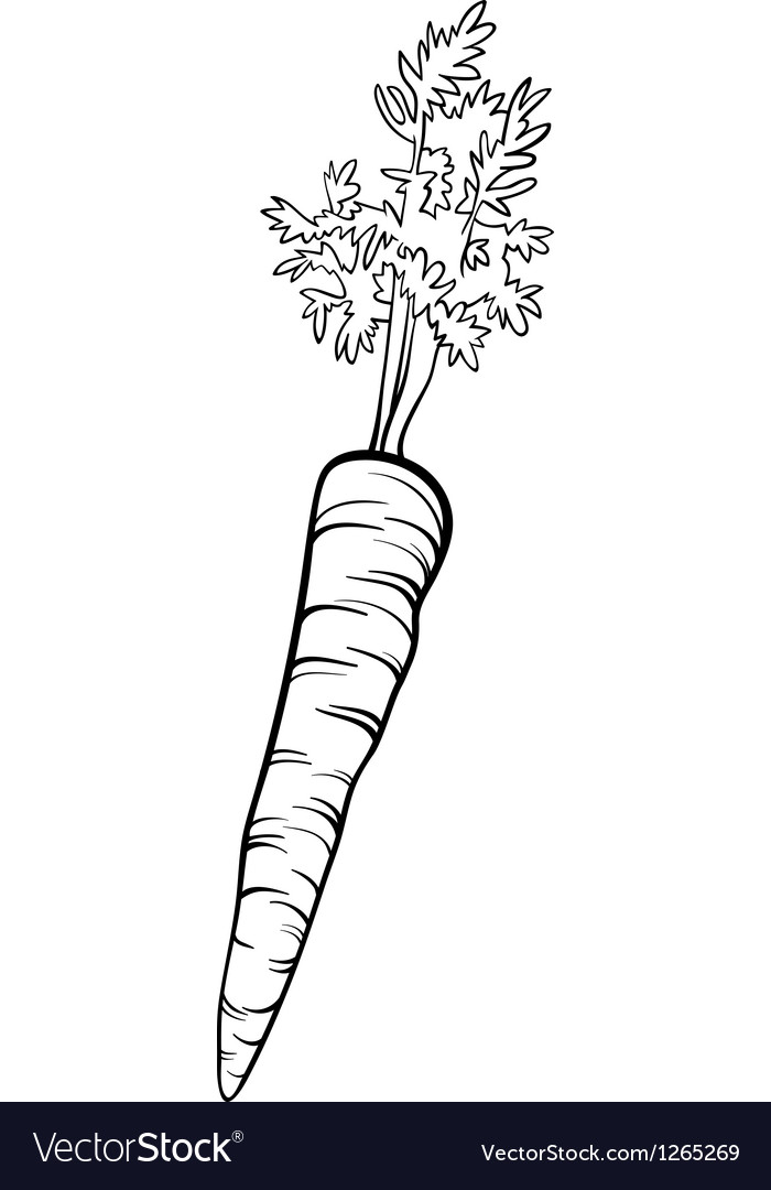Carrot vegetable cartoon for coloring book Vector Image