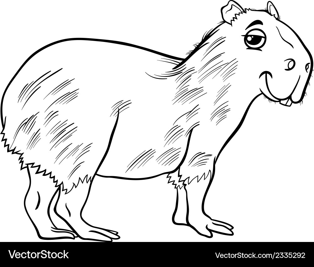 Capibara Para Colorear - Dibujos para colorear: Capibara imprimible