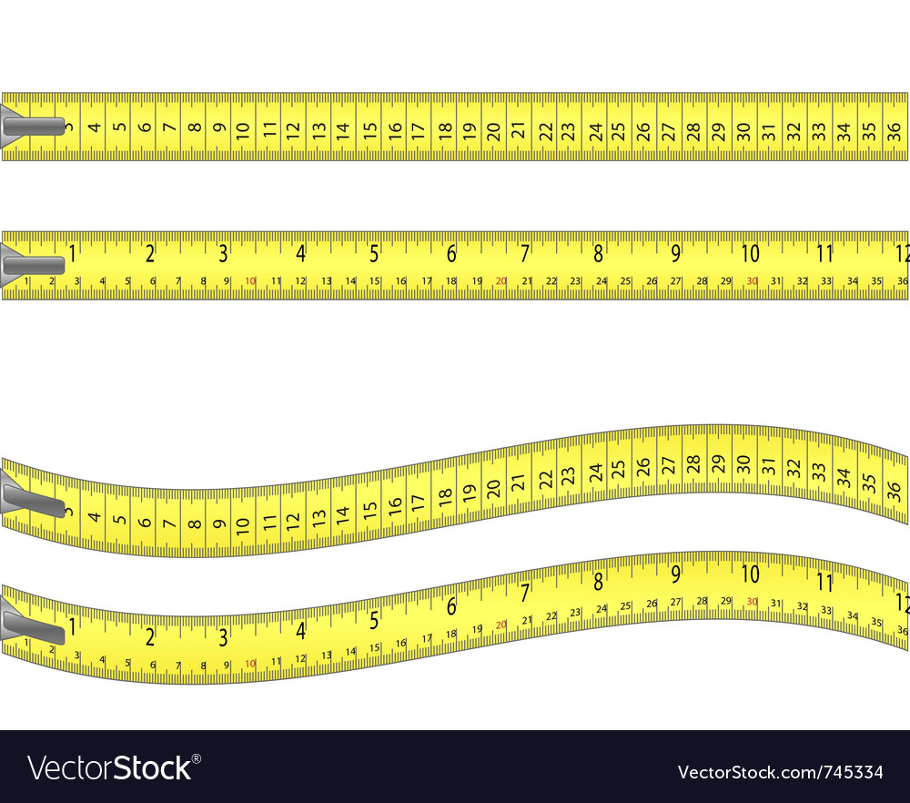 Tape measure Royalty Free Vector Image VectorStock