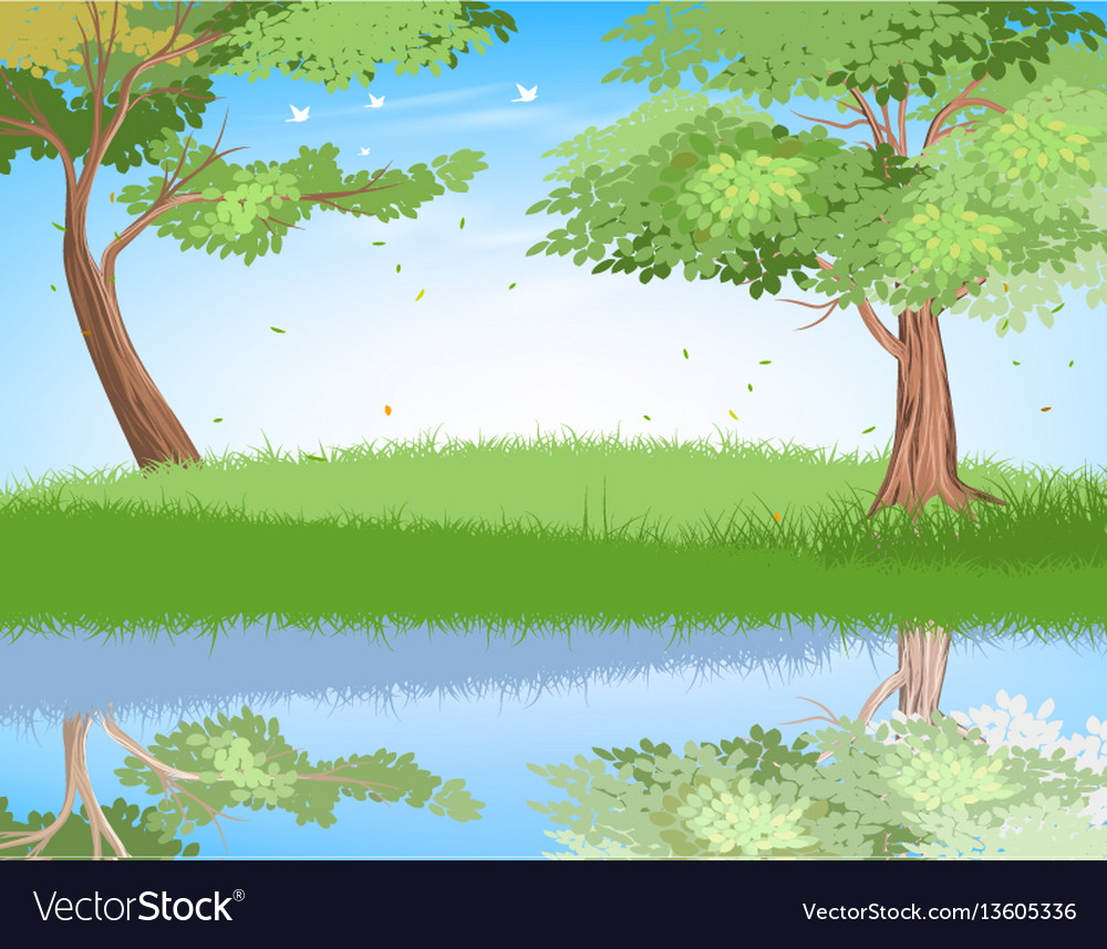 Lake in nature scene