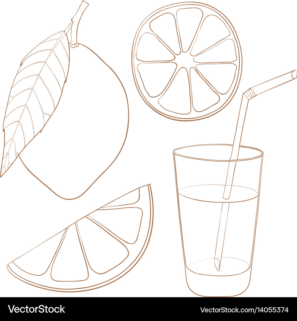 Lemon and glass of lemonade hand drawn outline Royalty Free Vector Image VectorStock