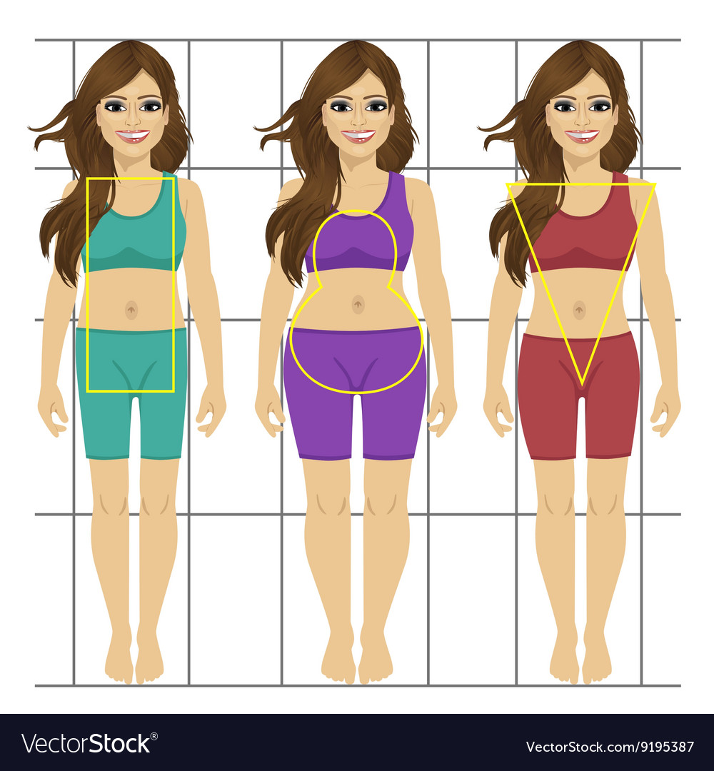 Different Women S Figures Three Female Body Types Vector Image-9289