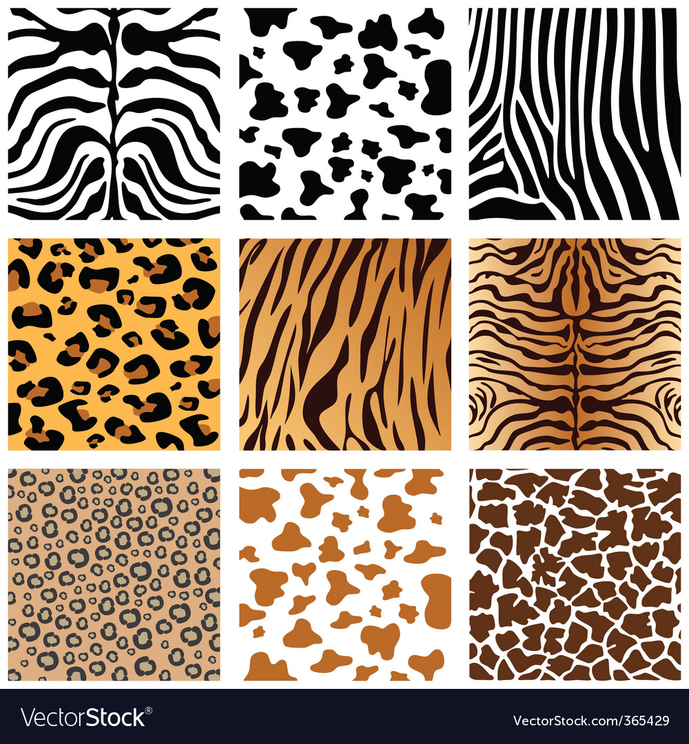 Awesome Animal Prints Part - 1: Animal Prints Vector Image Awesome Animal Prints Part - 1: Animal Prints Vector Image
