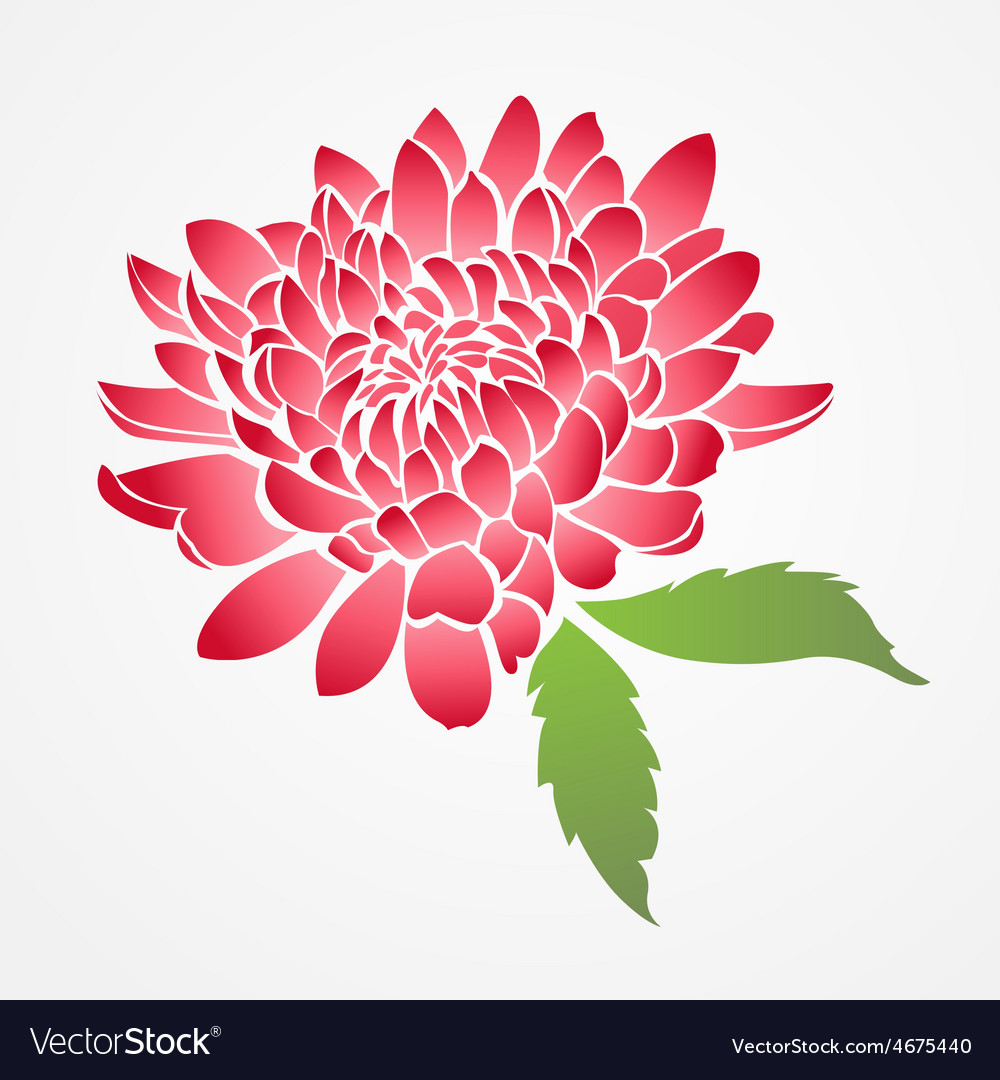 Isolated red chinese flower Royalty Free Vector Image