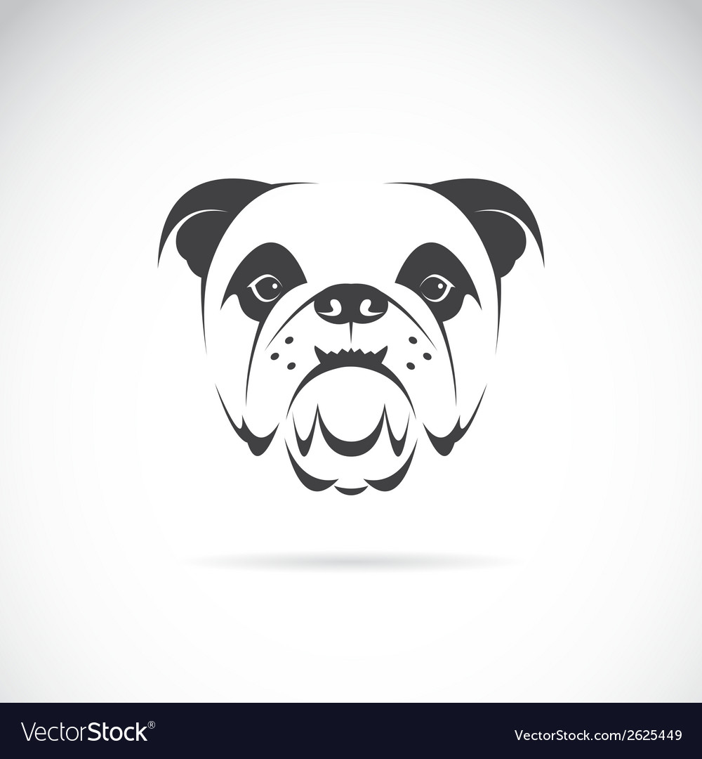 Image of an dog face Royalty Free Vector Image