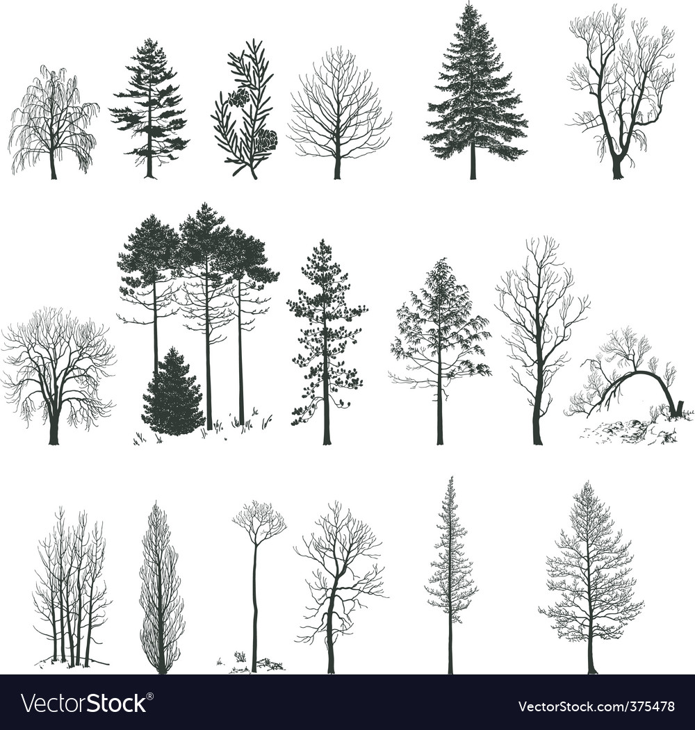 Tree Silhouette Collection Royalty Free Vector Image Ancestry Stock Images Royalty Free Images Vectors