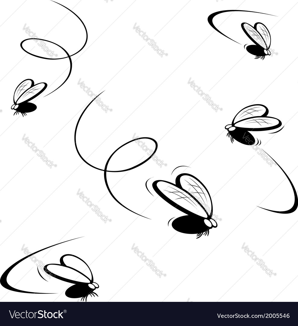 Flies Royalty Free Vector Image - VectorStock