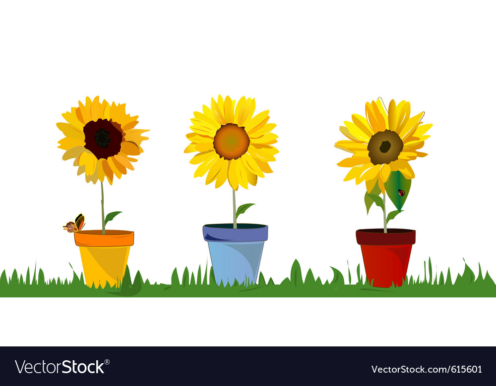 Free Free 306 Sunflower Border Svg Free SVG PNG EPS DXF File