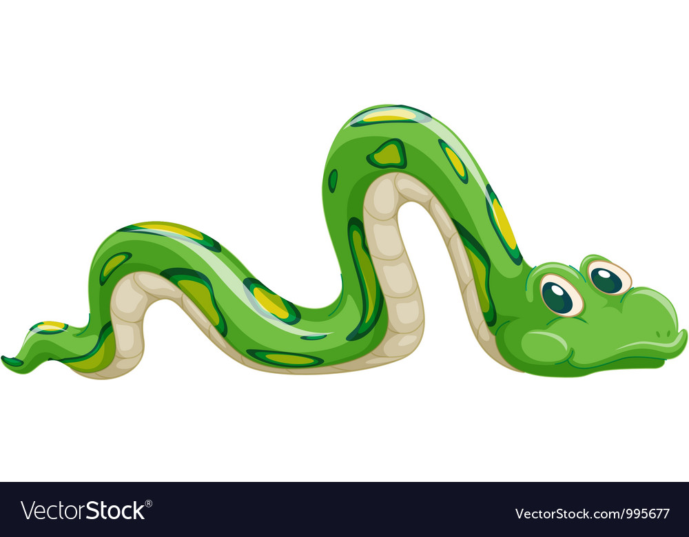 Cartoon snake Royalty Free Vector Image - VectorStock