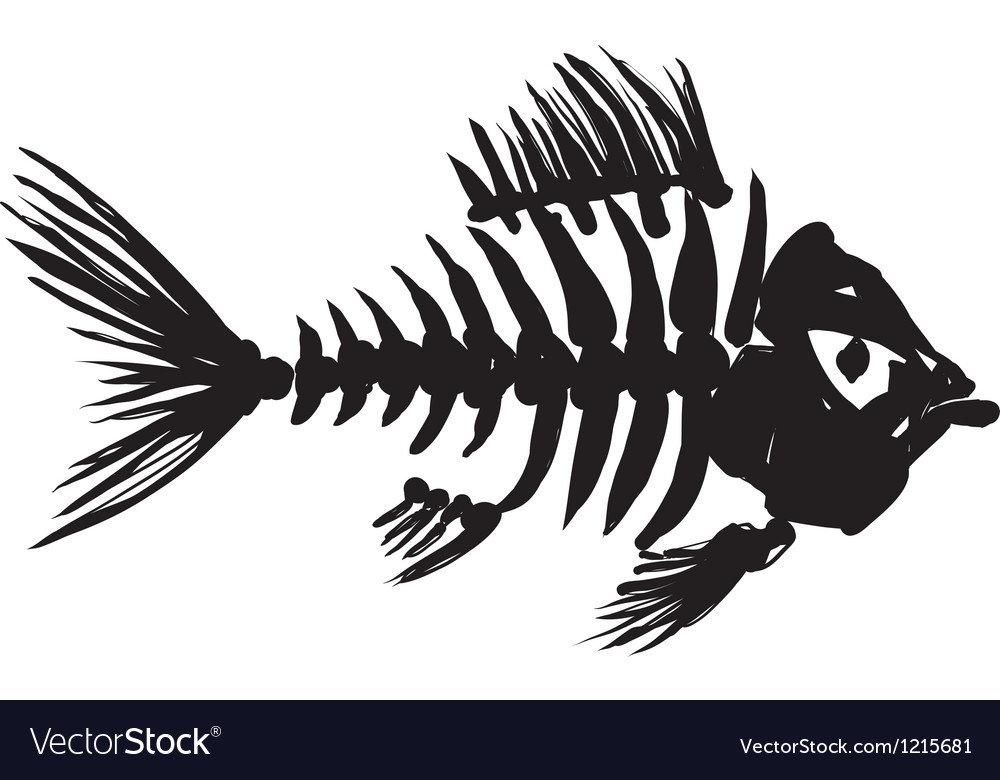 Download Fish skeleton Royalty Free Vector Image - VectorStock