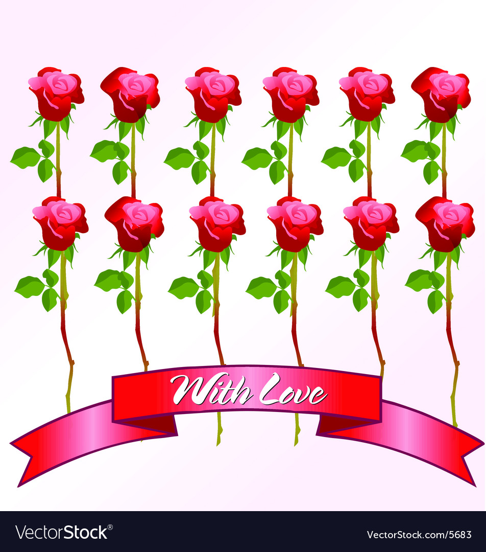 Dozen red roses Royalty Free Vector Image VectorStock