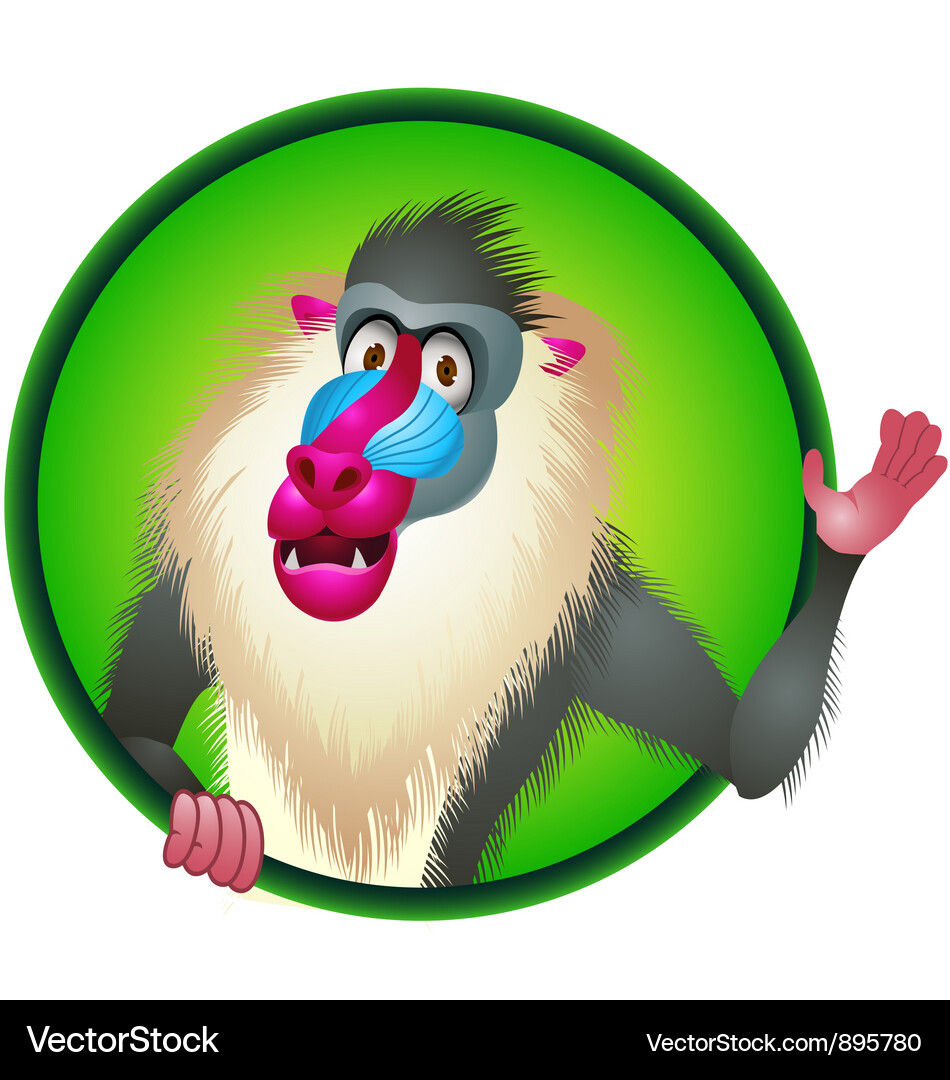 Baboon cartoon Royalty Free Vector Image VectorStock