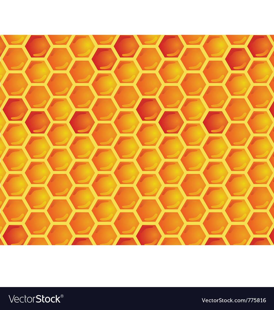 honeycomb seamless pattern royalty free vector image seamless pattern of honeycomb royalty free vector image honeycomb seamless pattern royalty free vector image seamless pattern of honeycomb royalty free vector image