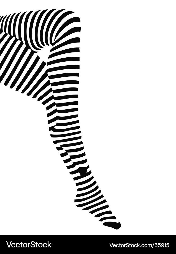 Black and white Royalty Free Vector Image - VectorStock