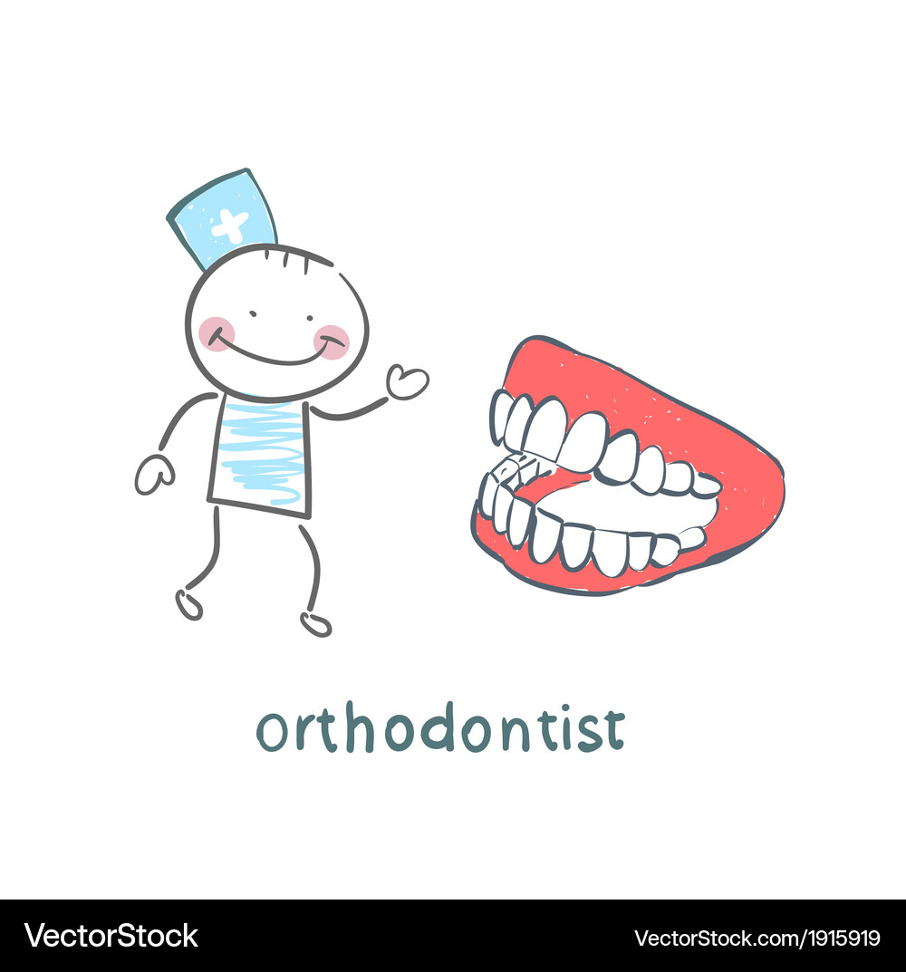 Orthodontist with jaw Royalty Free Vector Image