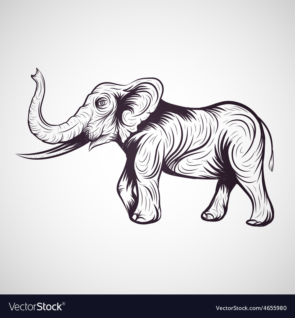Elephant Royalty Free Vector Image - VectorStock
