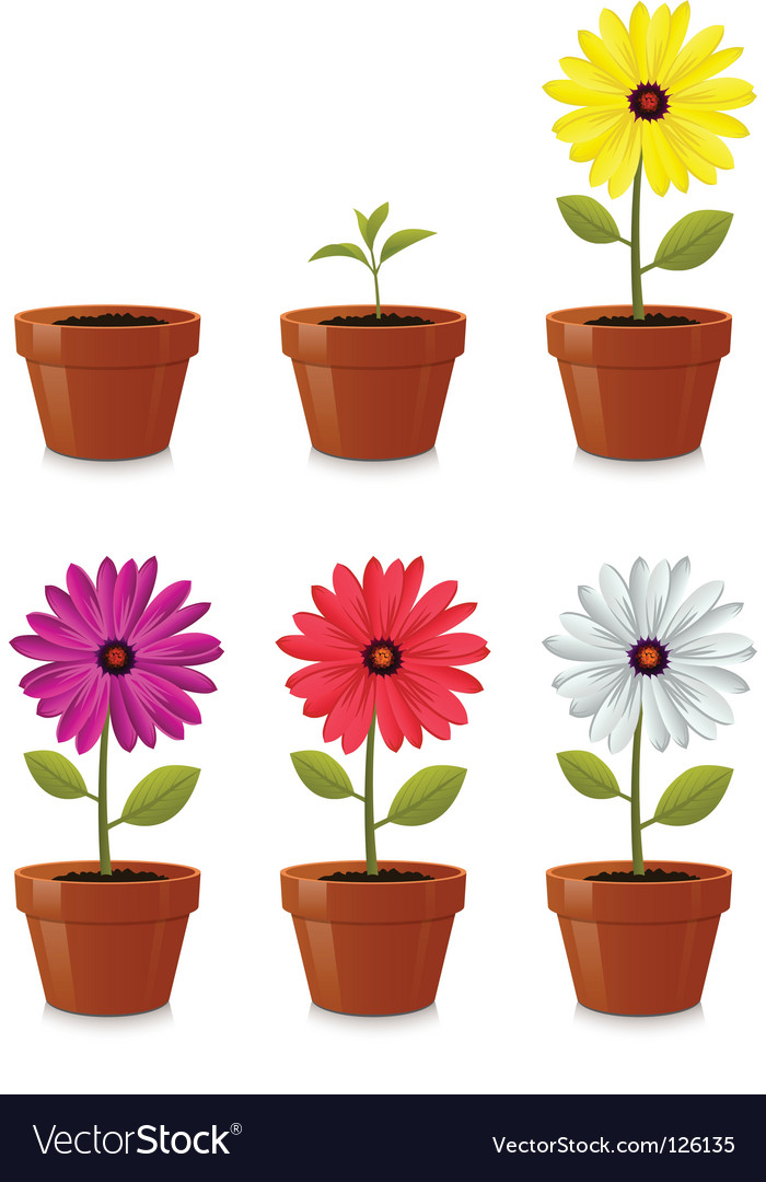  Flower  pot  Royalty Free Vector  Image VectorStock