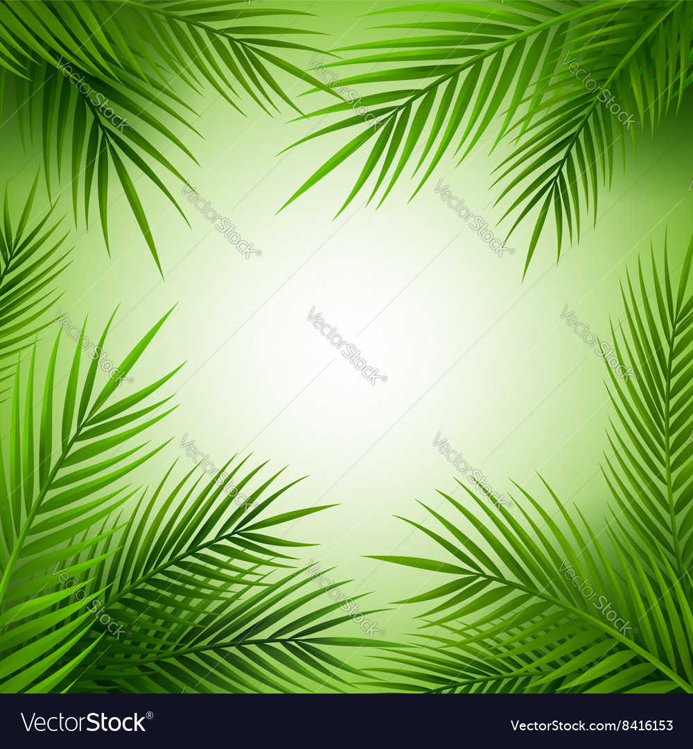 Tropical palm tree frame with copy space Vector Image