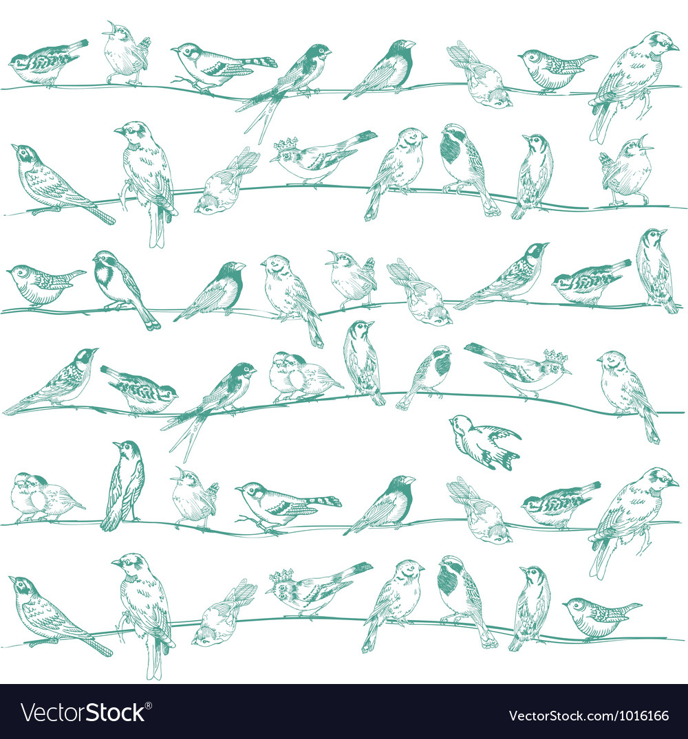 Birds Seamless Background Royalty Free Vector Image