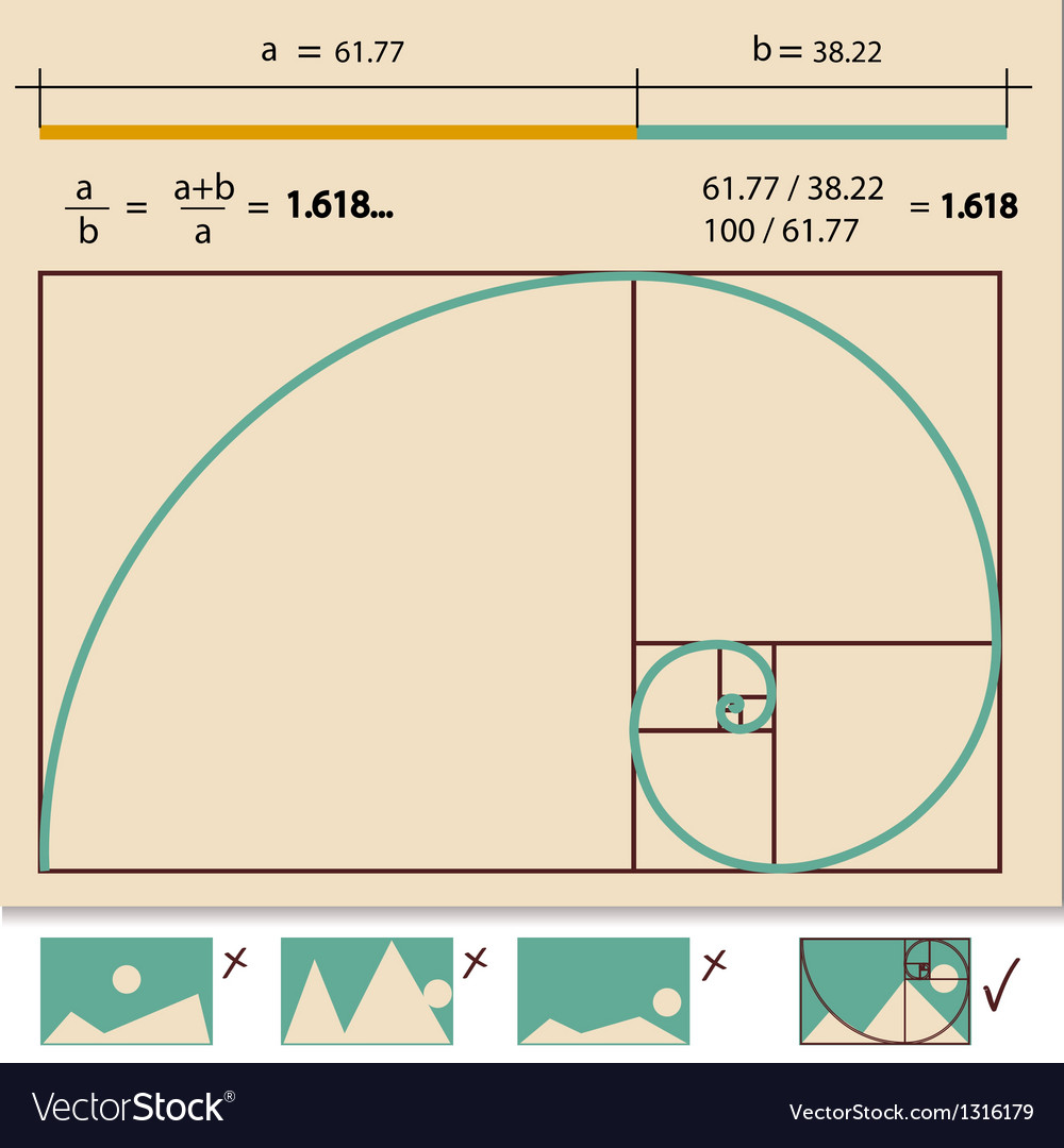 Golden Ratio Golden Proportion Royalty Free Vector Image