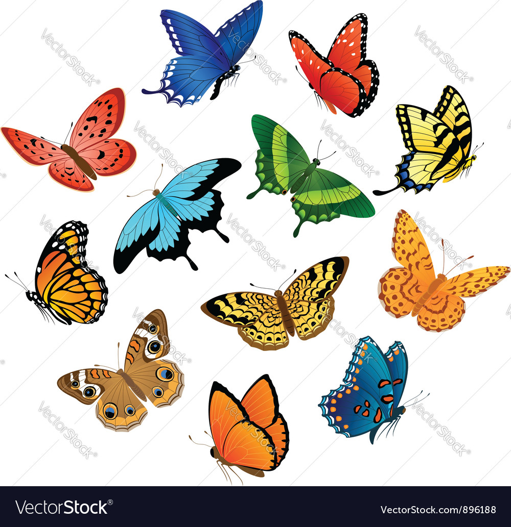 Download Flying butterflies Royalty Free Vector Image - VectorStock