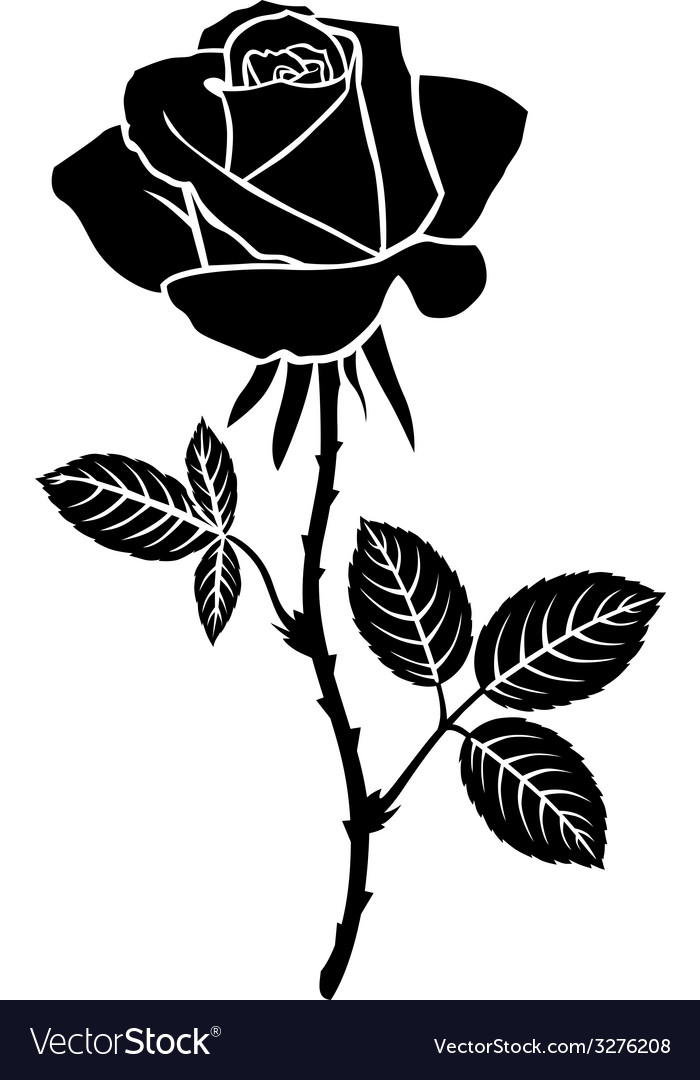 Sweet rose Royalty Free Vector Image VectorStock Sweet rose Royalty Free Vector Image VectorStock