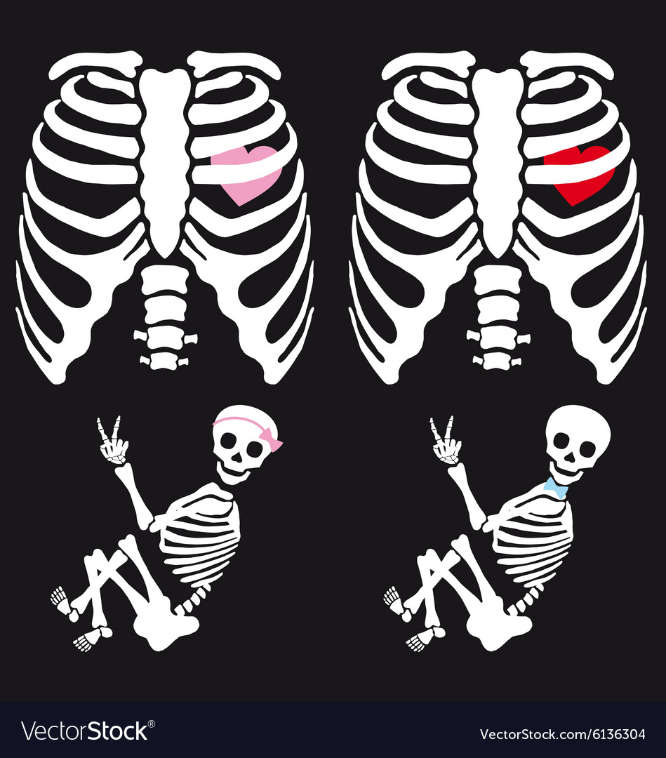 Download Skeleton baby boy and girl set Royalty Free Vector Image