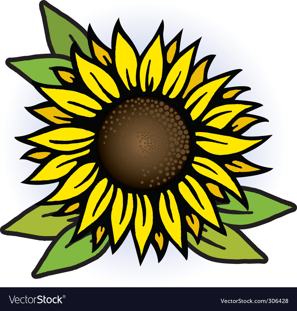 Download Sunflower Royalty Free Vector Image - VectorStock