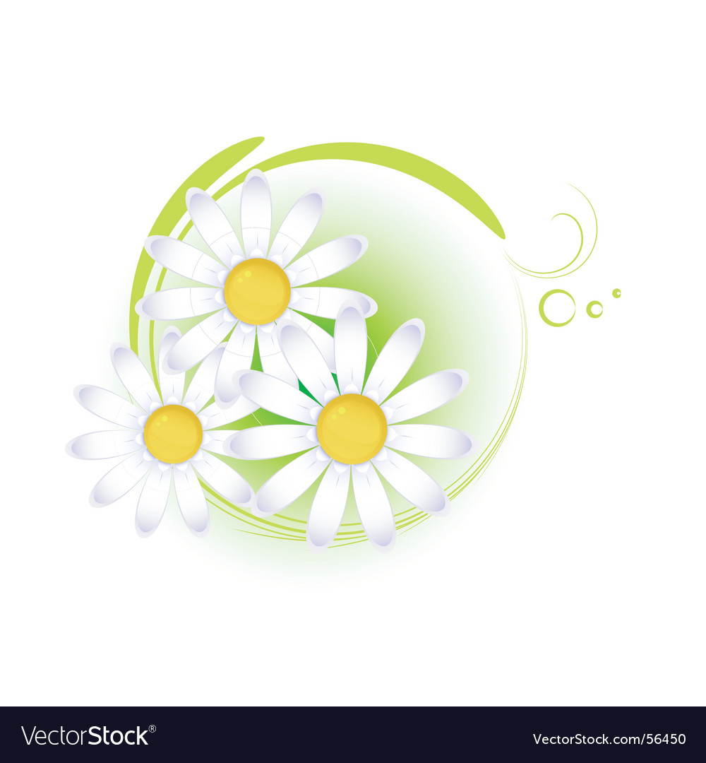 Daisy Royalty Free Vector Image VectorStock Daisy Vector 56450