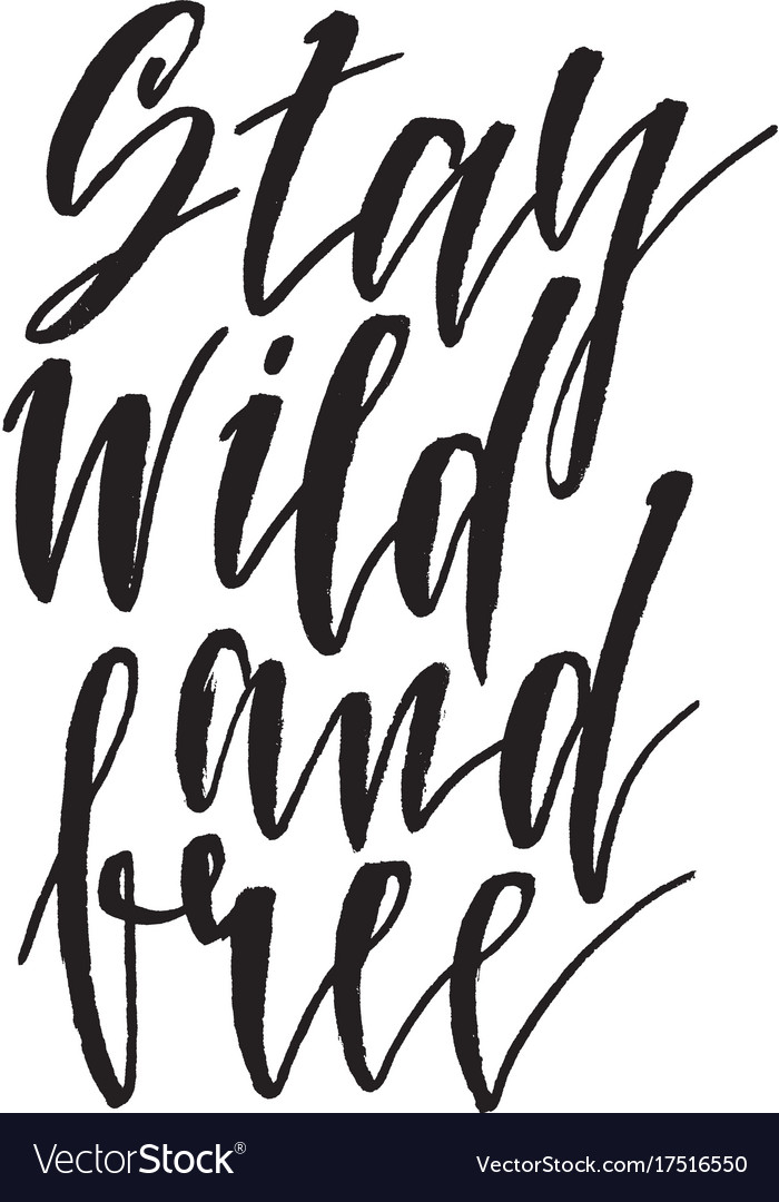 Stay wild and free hand drawn lettering quote Vector Image Stay wild and free hand drawn lettering quote Vector Image