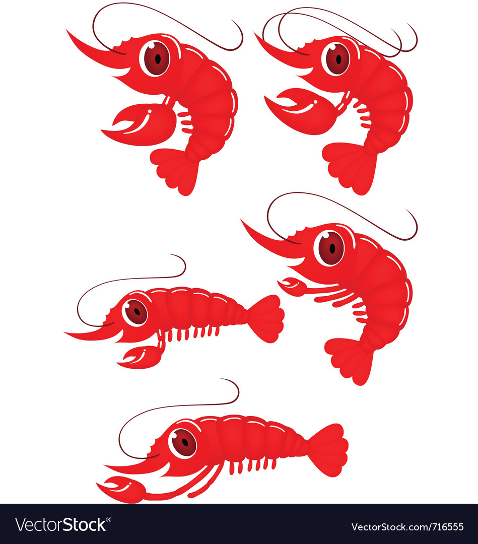 Download Shrimp cartoon Royalty Free Vector Image - VectorStock