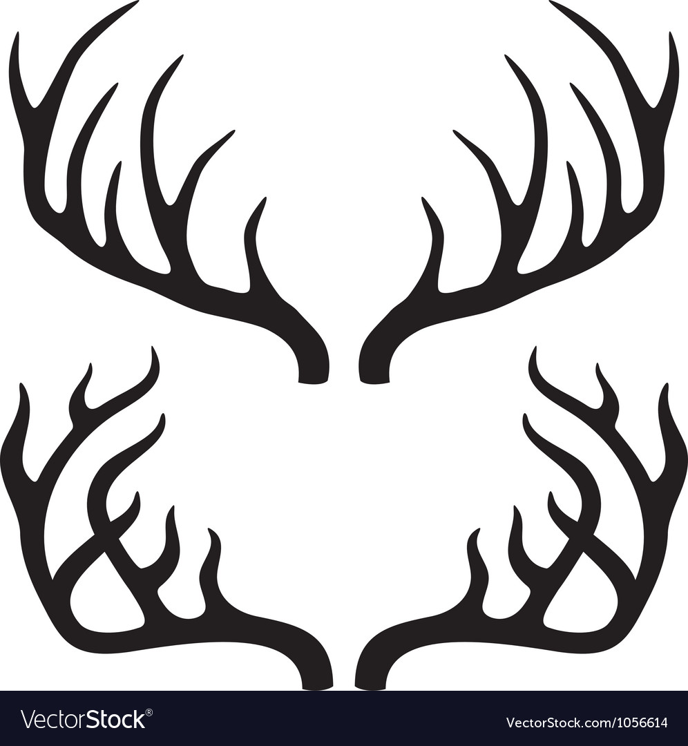 deer horns royalty free vector image vectorstock deer horns royalty free vector image vectorstock