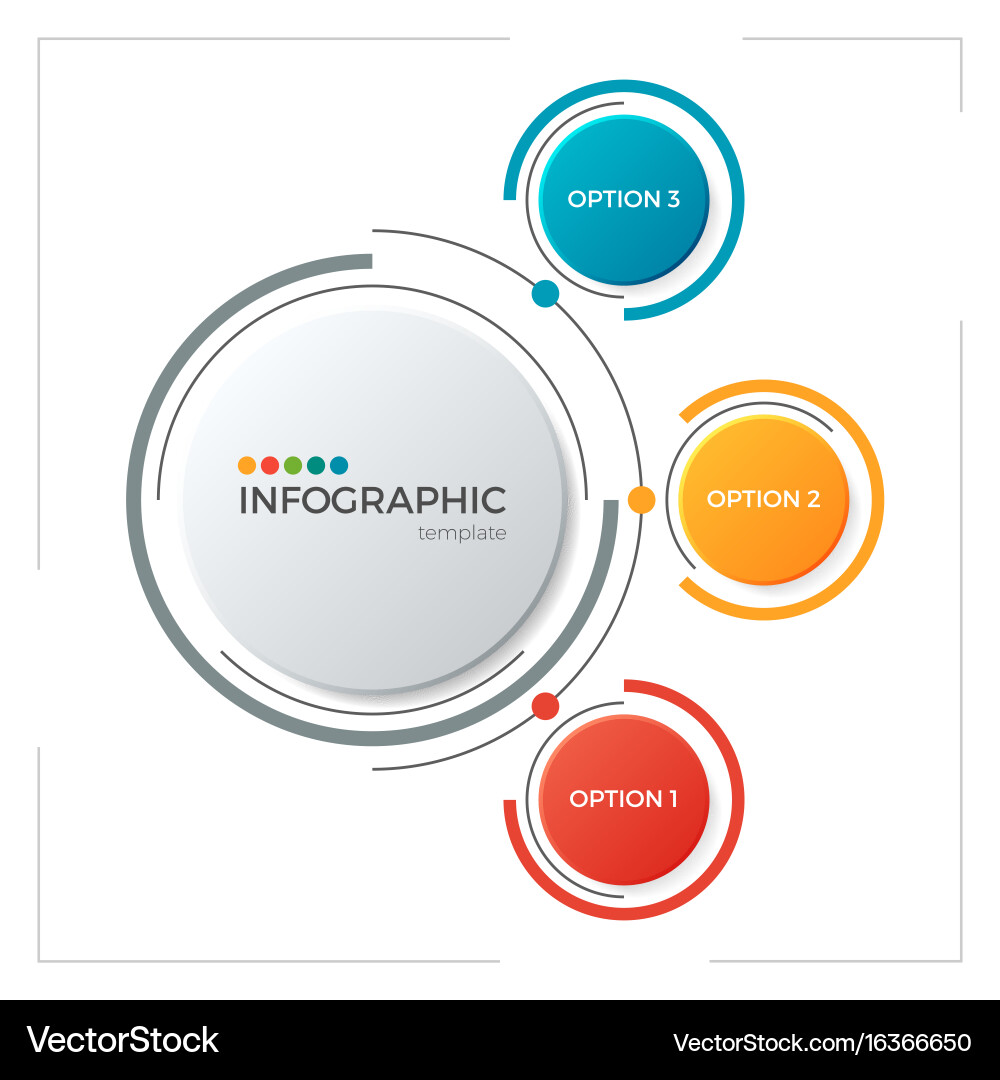 Circle chart infographic template with 3 options Vector Image