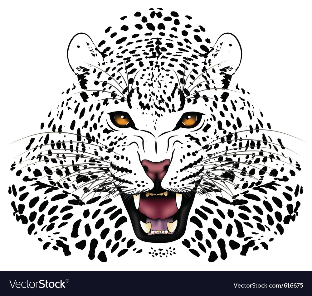 leopard tattoo royalty free vector image vectorstock leopard tattoo royalty free vector image vectorstock