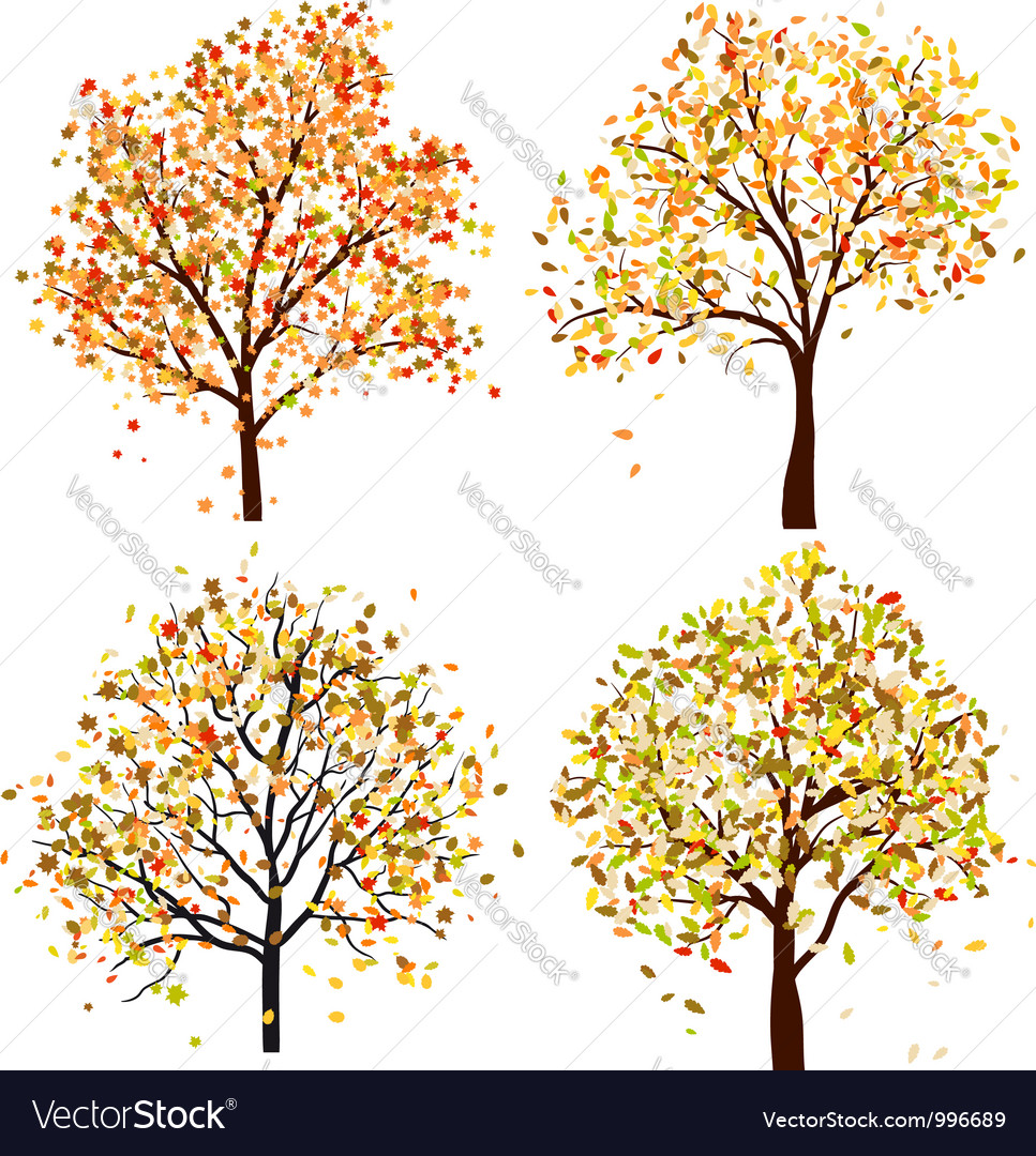 Autumn tree set Royalty Free Vector Image - VectorStock