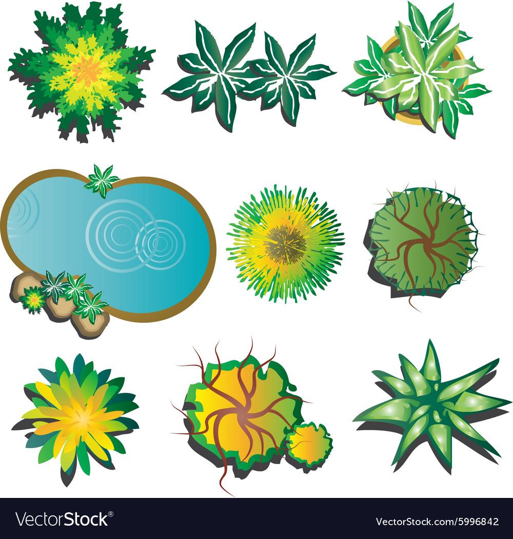 Plants top view set 1 Royalty Free Vector Image for Plant Top View Vector
300lyp Plants top view set 1 Royalty Free Vector Image for Plant Top View Vector
300lyp